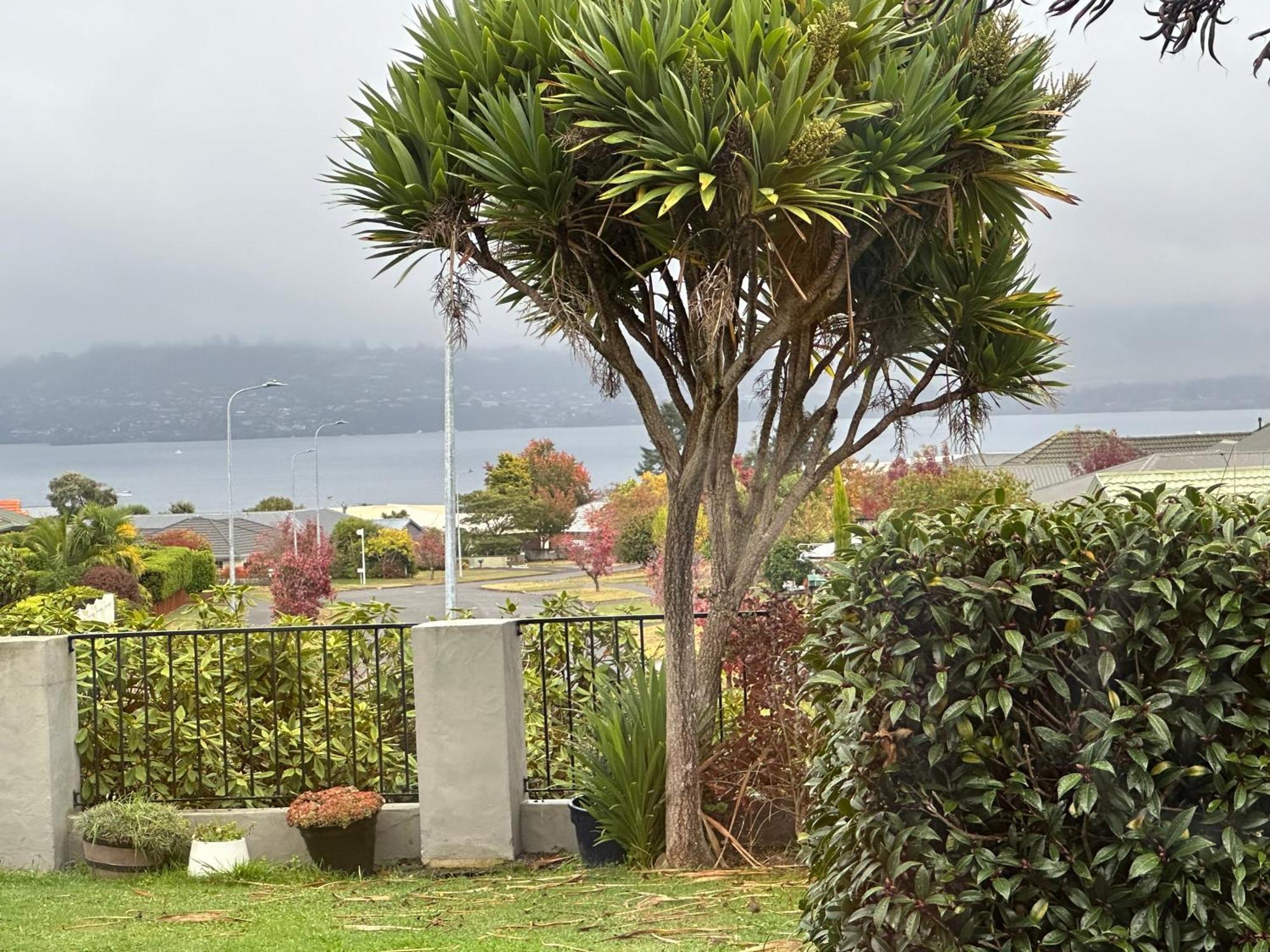 Lakeview Holiday Hideaway Taupo Luaran gambar